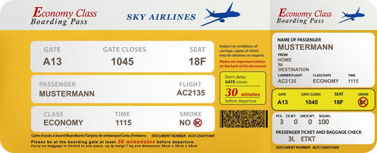 Modern Air Ticket Template