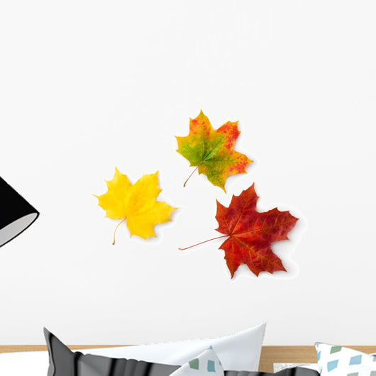 Three Maple Autumnal Leaves Topview Wall Decal