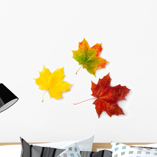 Three Maple Autumnal Leaves Topview Wall Decal