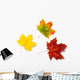 Three Maple Autumnal Leaves Topview Wall Decal