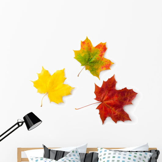 Three Maple Autumnal Leaves Topview Wall Decal