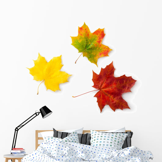 Three Maple Autumnal Leaves Topview Wall Decal