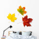 Three Maple Autumnal Leaves Topview Wall Decal