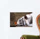 Tiger and Butterfly Wall Mural