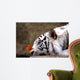 Tiger and Butterfly Wall Mural