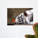 Tiger and Butterfly Wall Mural