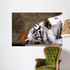 Tiger and Butterfly Wall Mural