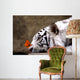 Tiger and Butterfly Wall Mural