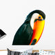 Colorful Toucan Parrot with
