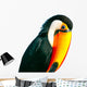 Colorful Toucan Parrot with