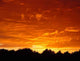 Orange Sunset Wall Decal