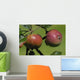 Norman Apples Wall Decal