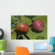 Norman Apples Wall Decal