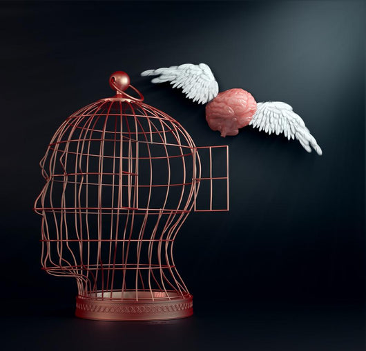 Winged Brain