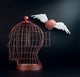 Winged Brain