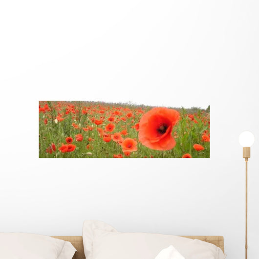 Poppy Seed Wall Decal