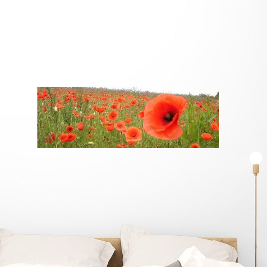 Poppy Seed Wall Decal