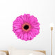 Pink Gerbera Marigold Flower Wall Decal
