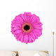 Pink Gerbera Marigold Flower Wall Decal
