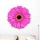 Pink Gerbera Marigold Flower Wall Decal