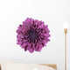 Purple Chrysanthemum Flower White Wall Decal