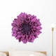 Purple Chrysanthemum Flower White Wall Decal