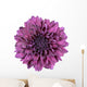 Purple Chrysanthemum Flower White Wall Decal