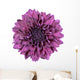 Purple Chrysanthemum Flower White Wall Decal