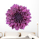 Purple Chrysanthemum Flower White Wall Decal