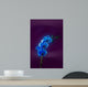 Blue Orchid