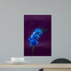 Blue Orchid