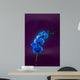 Blue Orchid