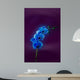 Blue Orchid