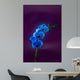 Blue Orchid