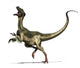 Ornitholestes Dinosaur Wall Decal