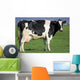 Holstein Cow Wall Decal