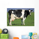 Holstein Cow Wall Decal