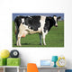 Holstein Cow Wall Decal