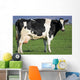 Holstein Cow Wall Decal