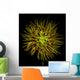 Spider Chrysanthemum Wall Mural