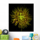 Spider Chrysanthemum Wall Mural