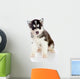 Puppy a Husky, Isolated. Wall Decal