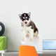 Puppy a Husky, Isolated. Wall Decal