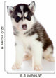 Puppy a Husky, Isolated. Wall Decal