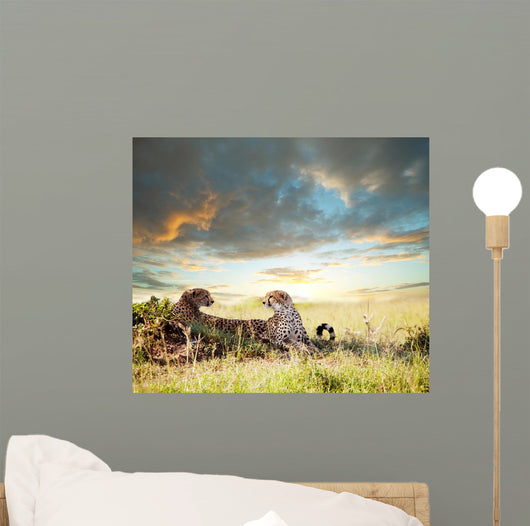 Cheetah Wall Mural