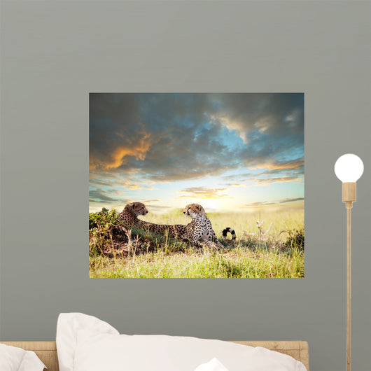 Cheetah Wall Mural