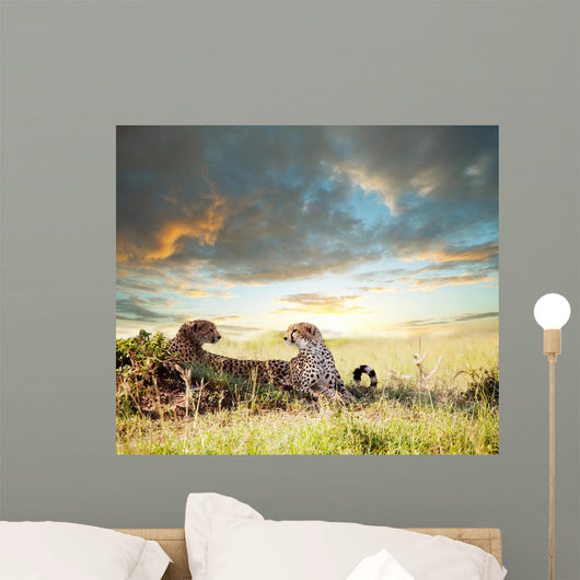 Cheetah Wall Mural