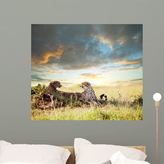 Cheetah Wall Mural