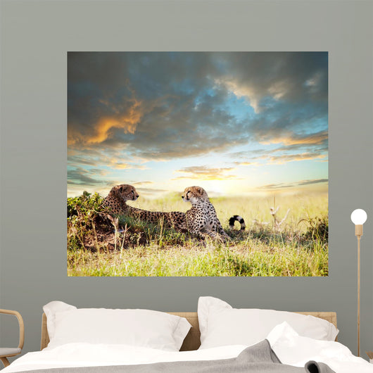 Cheetah Wall Mural
