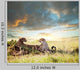 Cheetah Wall Mural